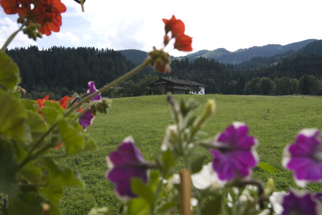 Haus Schatzbergblick 오버라우 외부 사진